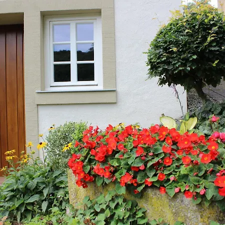 Modern In Germany Near Forest * Plutscheid